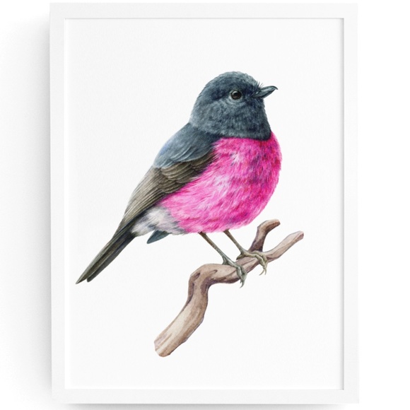 Other - Pink Robin Bird Wall Art Watercolor Illustration Print Poster Card Unframed